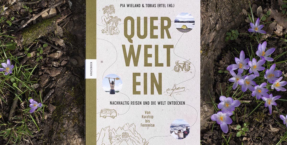 Cover Image for Querweltein
